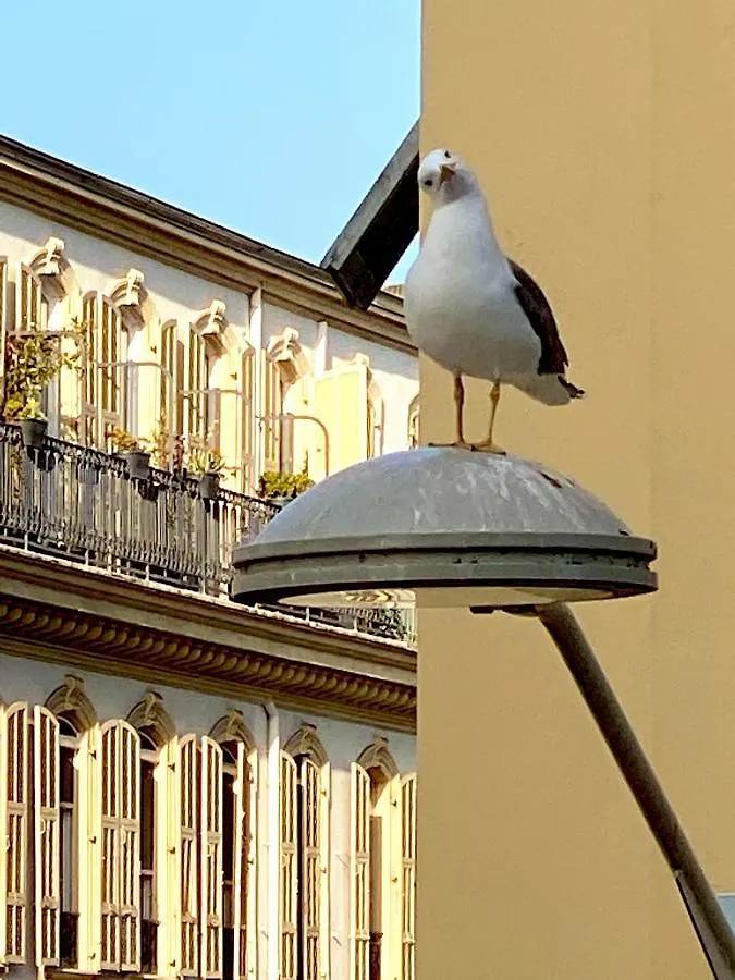 2 Bedroom - Hyper Center - Kitchen - Tramway - Balcony - Air Conditioner - Wifi Nice Francie